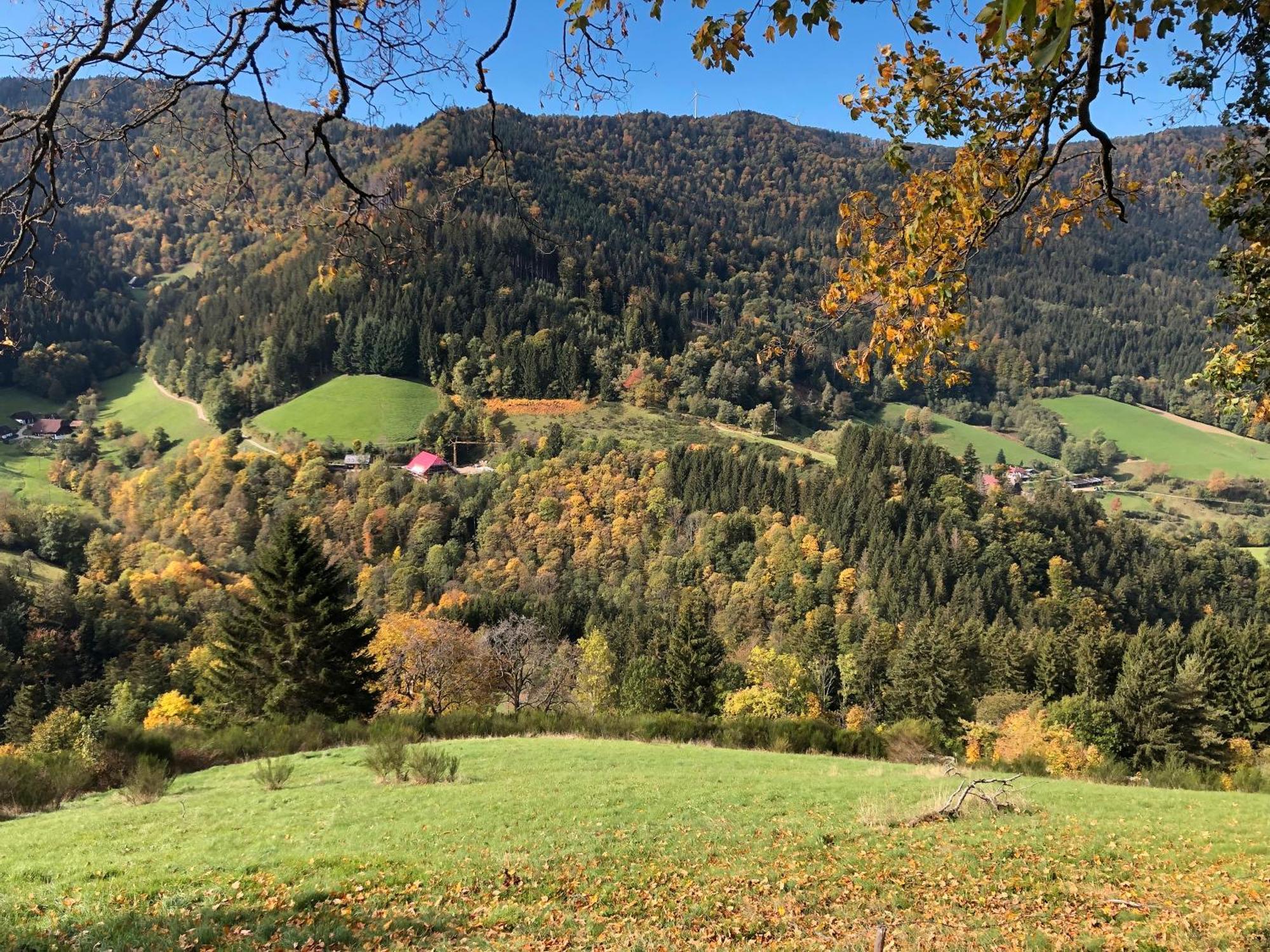 2 Zimmer Wohnung, Mit Sonnenterasse Schönwalde Dış mekan fotoğraf